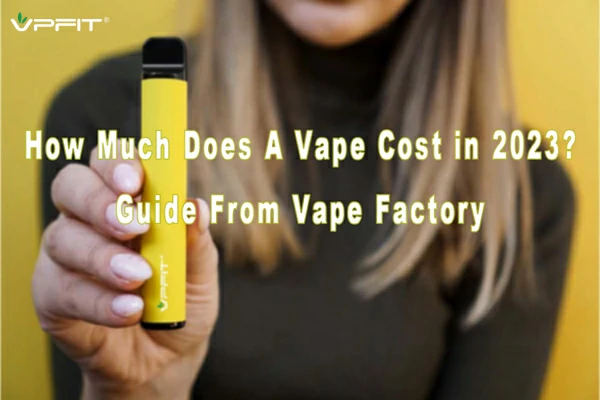 How Much Does A Vape Cost in 2023? Guide From Vape Factory